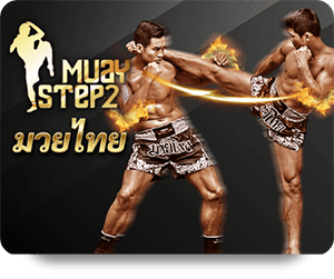 lsmx muaystep